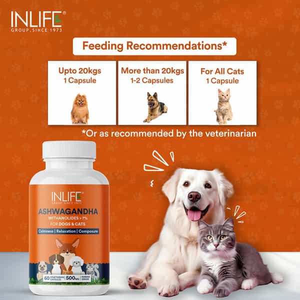Inlife Ashwagandha For Dogs (Withania Somnifera) Supplement 500Mg - 60 Vegetarian Capsules