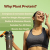 Origin Nutrition 100% Natural Vegan Plant Protein Powder Unflavoured With 25g Plant Protein 250g