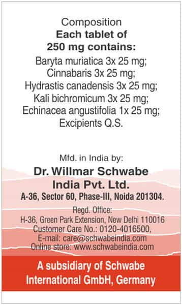 Dr. Willmar Schwabe India Alpha - Sh Sinus Headache 20 Gm