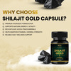 Uma Ayurveda Shilajit Gold Capsule - 30n