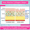 Dr. Morepen Marine Collagen Peptide | Chocolate | Pouch | Powder | 240 Gm