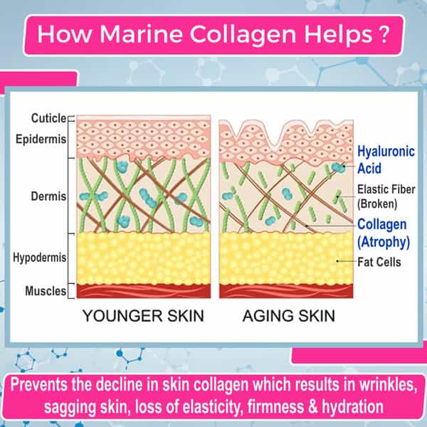 Dr. Morepen Marine Collagen Peptide | Chocolate | Pouch | Powder | 240 Gm