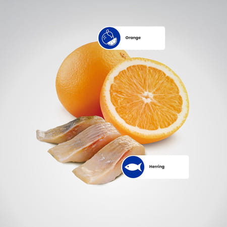 Farmina N&D Ocean Herring & Orange Cat Food | Premium Dry Food | 1.5kg