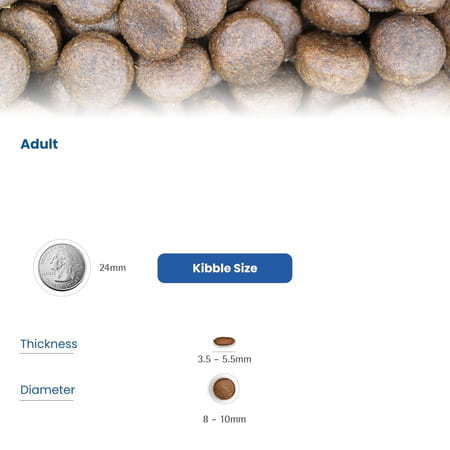 Farmina N&D Ocean Herring & Orange Cat Food | Premium Dry Food | 1.5kg