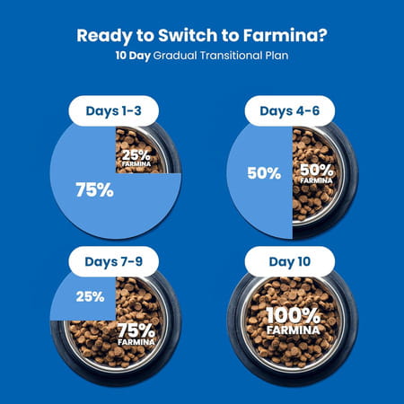 Farmina N&D Ocean Herring & Orange Cat Food | Premium Dry Food | 1.5kg