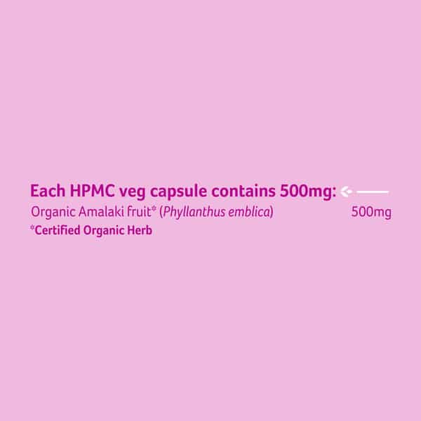 Organic India Amalaki - 60 Capsules