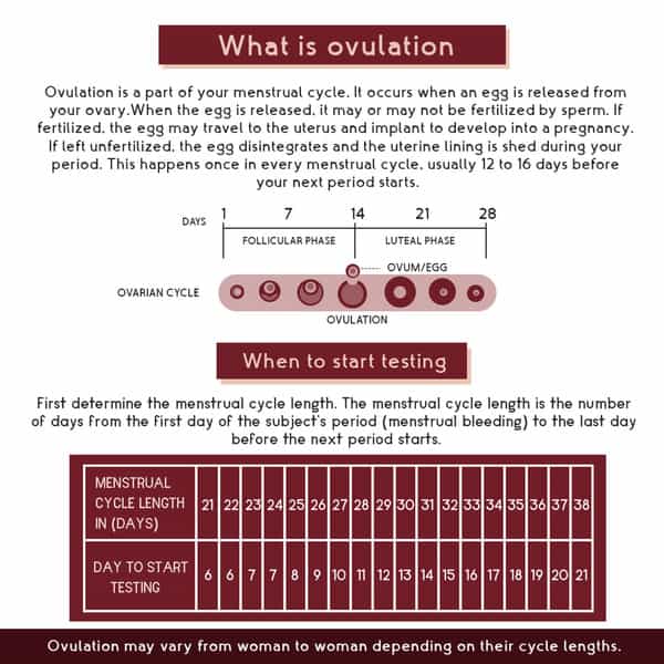 Imbue Rosa Ovulation Test Kit - At Home Fertility Rapid Test Kit For Women