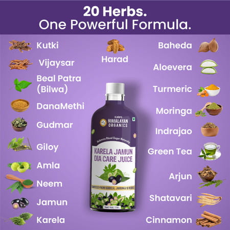 Vlado'S Himalayan Organics Karela Jamun Diabetic Care Juice I Dia Free Diabic Care Juice - 1l