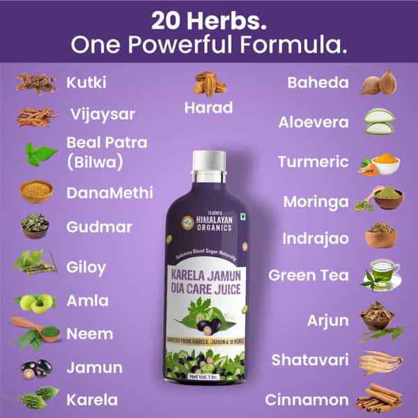 Vlado's Himalayan Organics Karela Jamun Diabetic Care Juice I Dia Free Diabic Care Juice - 1L