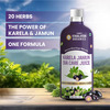 Vlado's Himalayan Organics Karela Jamun Diabetic Care Juice I Dia Free Diabic Care Juice - 1L
