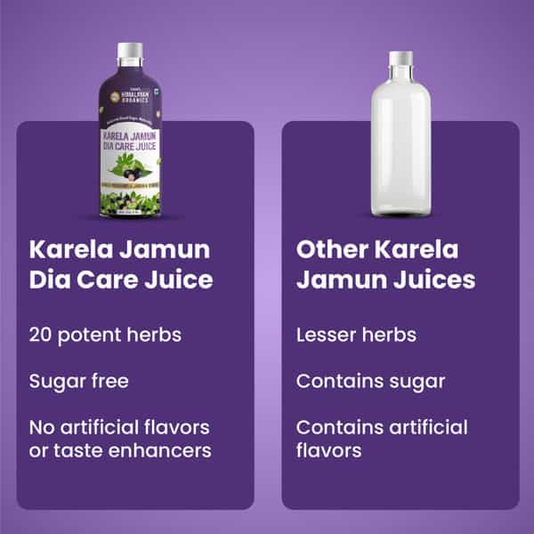 Vlado's Himalayan Organics Karela Jamun Diabetic Care Juice I Dia Free Diabic Care Juice - 1L