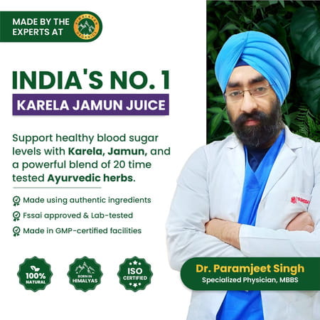 Vlado'S Himalayan Organics Karela Jamun Diabetic Care Juice I Dia Free Diabic Care Juice - 1l