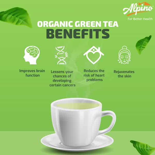 Alpino Certified Organic Tulsi Green Tea 100 G | Rich In Anti-Oxidants | Detox Green Tea