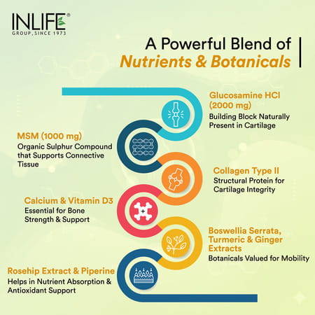 Inlife Glucosamine Tablets For Joints | Knee Bone Cartilage Supplement - 60 Tablets