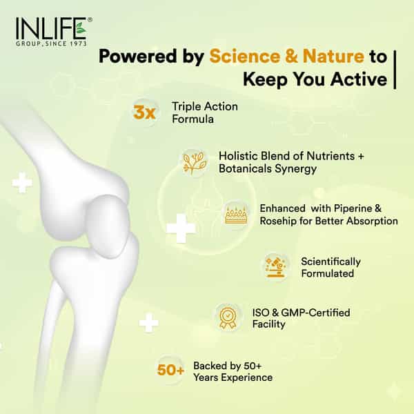 Inlife Glucosamine Chondroitin Msm Tablets For Joints | Knee Bone Cartilage Supplement - 60 Tablets