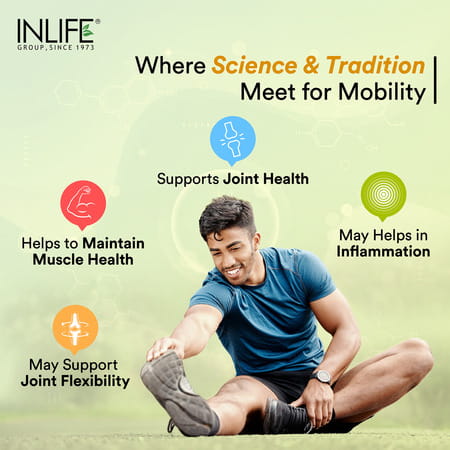 Inlife Glucosamine Tablets For Joints | Knee Bone Cartilage Supplement - 60 Tablets