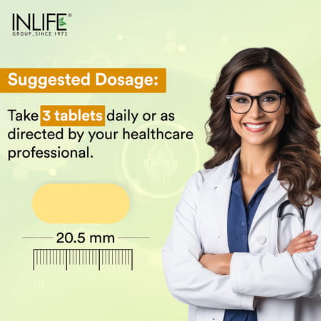Inlife Glucosamine Tablets For Joints | Knee Bone Cartilage Supplement - 60 Tablets
