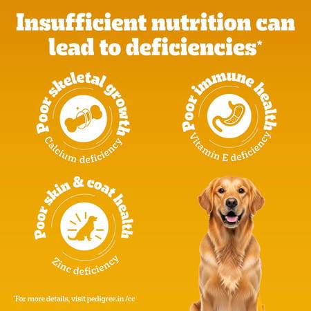 Pedigree Adult & Puppy Dry Dog Food | 100% Vegetarian | 1 Kg | Contains 37 Essential Nutrients