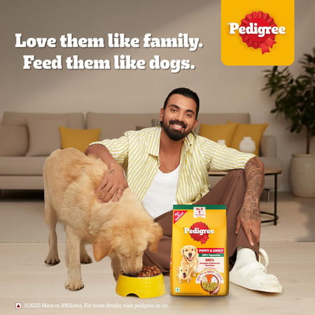 Pedigree Adult & Puppy Dry Dog Food | 100% Vegetarian | 1 Kg | Contains 37 Essential Nutrients
