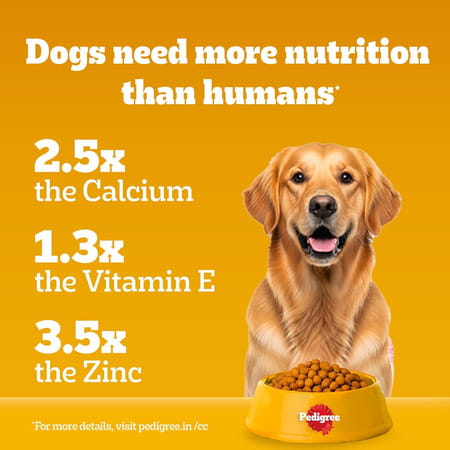 Pedigree Adult & Puppy Dry Dog Food | 100% Vegetarian | 1 Kg | Contains 37 Essential Nutrients