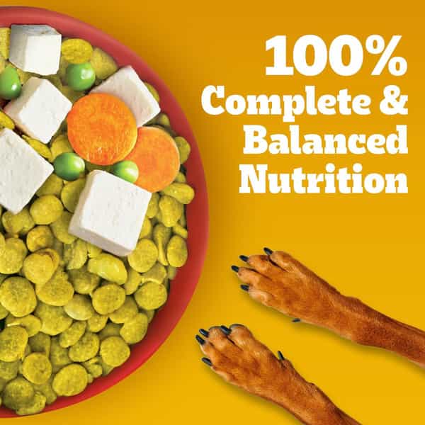 Pedigree Adult & Puppy Dry Dog Food | 100% Vegetarian | 1 Kg | Contains 37 Essential Nutrients