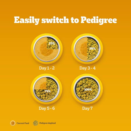 Pedigree Adult & Puppy Dry Dog Food | 100% Vegetarian | 1 Kg | Contains 37 Essential Nutrients