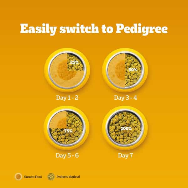 Pedigree Adult & Puppy Dry Dog Food | 100% Vegetarian | 1 Kg | Contains 37 Essential Nutrients