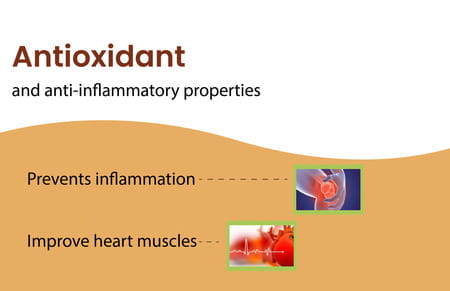 Vedikroots Arjuna 60 Capsules 450 Mg 100% Organic | Terminalia Arjuna | For Healthy Heart