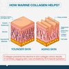 Myfitfuel Hydrolyzed Marine Collagen +Glucosamine | Hyaluronic | Biotin | Vitamin C (400Gm | Orange)