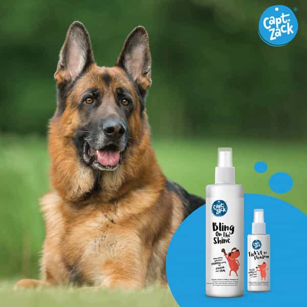 Captain Zack - The German Shepherd Groom Box Ultimate 8-In-1 Head-To-Paw Groom-Kit For Your Dog