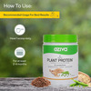 Oziva Organic Plant Protein 500G | Unflavoured Plant Protein For Everyday Fitness
