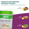 Oziva Organic Plant Protein 500G | Unflavoured Plant Protein For Everyday Fitness