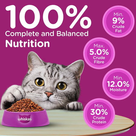 Whiskas Adult (1+ Years) Dry Cat Food | Ocean Fish Flavour | 20 Kg