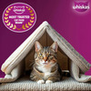 Whiskas Adult (1+ Years) Dry Cat Food | Ocean Fish Flavour | 20 Kg