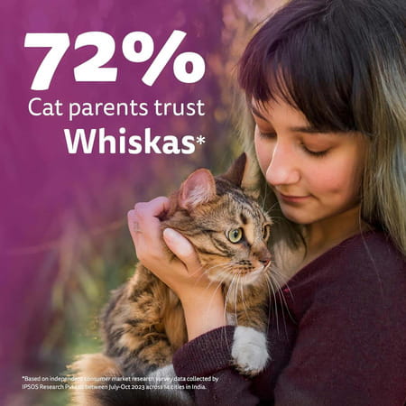 Whiskas Adult (1+ Years) Dry Cat Food | Ocean Fish Flavour | 20 Kg