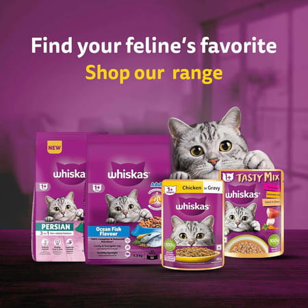 Whiskas Adult (1+ Years) Dry Cat Food | Ocean Fish Flavour | 20 Kg