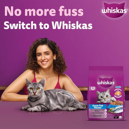 Whiskas Adult (1+ Years) Dry Cat Food | Ocean Fish Flavour | 20 Kg