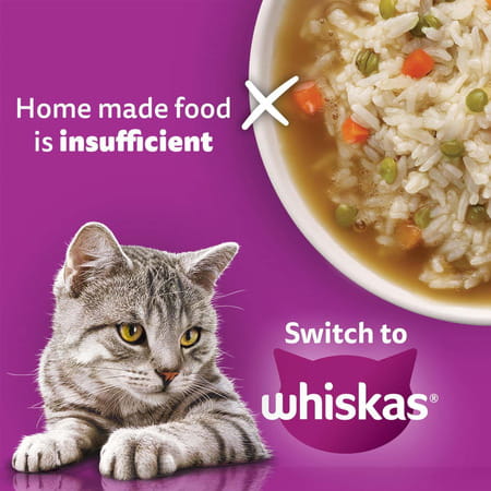 Whiskas Adult (1+ Years) Dry Cat Food | Ocean Fish Flavour | 20 Kg