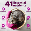 Whiskas Adult (1+ Years) Dry Cat Food | Ocean Fish Flavour | 20 Kg