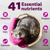 Whiskas Adult (1+ Years) Dry Cat Food | Ocean Fish Flavour | 20 Kg