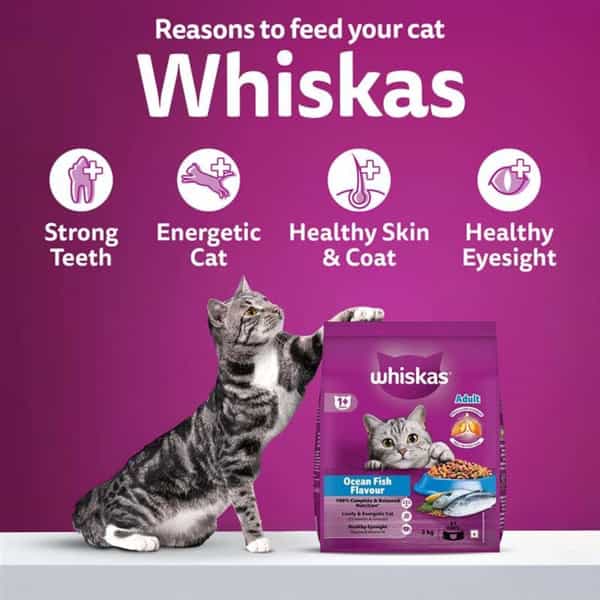 Whiskas Adult (1+ Years) Dry Cat Food | Ocean Fish Flavour | 20 Kg