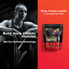 Optimum Nutrition (On) Gold Standard 100% Whey Protein Double Rich Chocolate Flavour 454Gm Powder