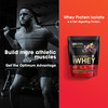 Optimum Nutrition (On) Gold Standard 100% Whey Protein Double Rich Chocolate Flavour 454Gm Powder
