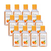 Pearldew Sanitizer (Orange) | Aloe & Neem | Paraben Free | 60Ml (Pack Of 12)
