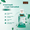 Clove Ultimate Cool Mint Antibacterial Mouthwash | Kills 99.0% Germs & Prevents Bad Breath | 250ml