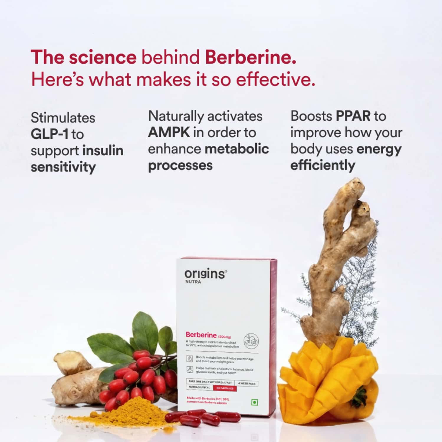 Buy ORIGINS NUTRA BERBERINE |BOOST METABOLISM ENERGY LEVELS | HELP MANAGE BLOOD SUGAR