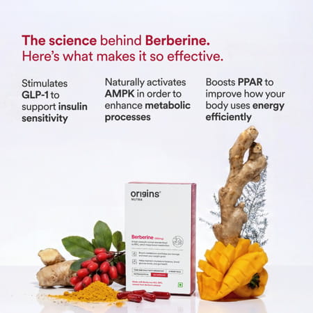 Buy ORIGINS NUTRA BERBERINE |BOOST METABOLISM ENERGY LEVELS | HELP MANAGE BLOOD SUGAR