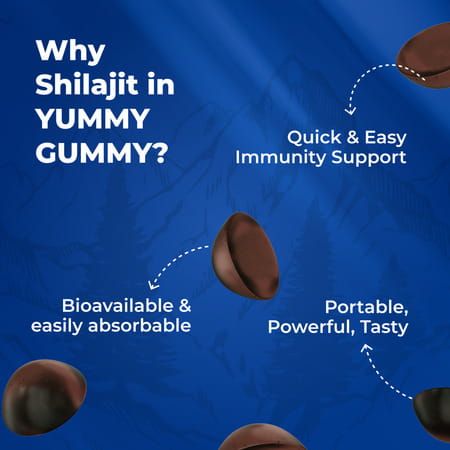 Nutriburst Shilajit Resin 10 Gummies