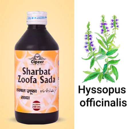 Cipzer Sharbat Zoofa Sada | Relieves Phlegmatic & Dry Cough | 200 Ml