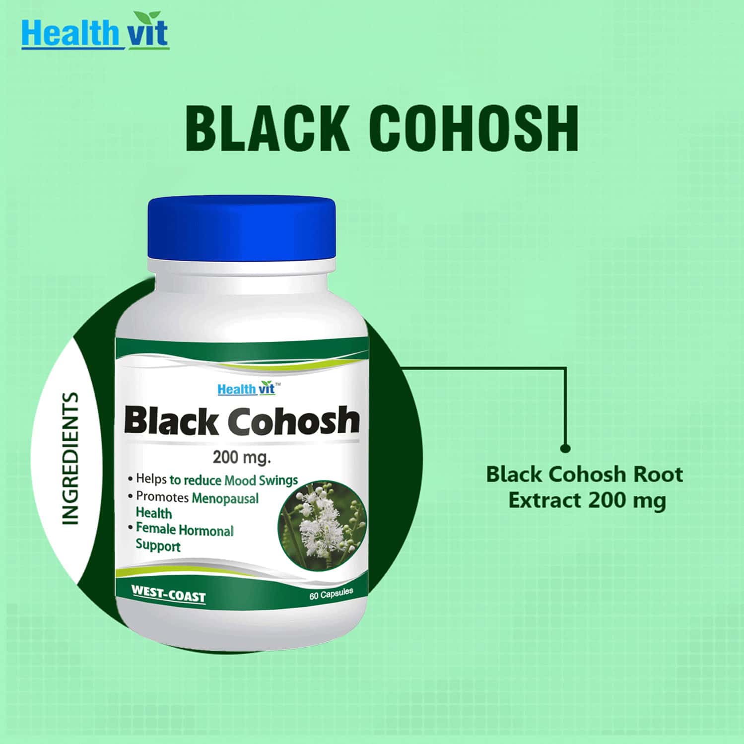 Buy HEALTHVIT BLACK COHOSH ROOT EXTRACT 200MG 60 CAPSULES Online & Get
